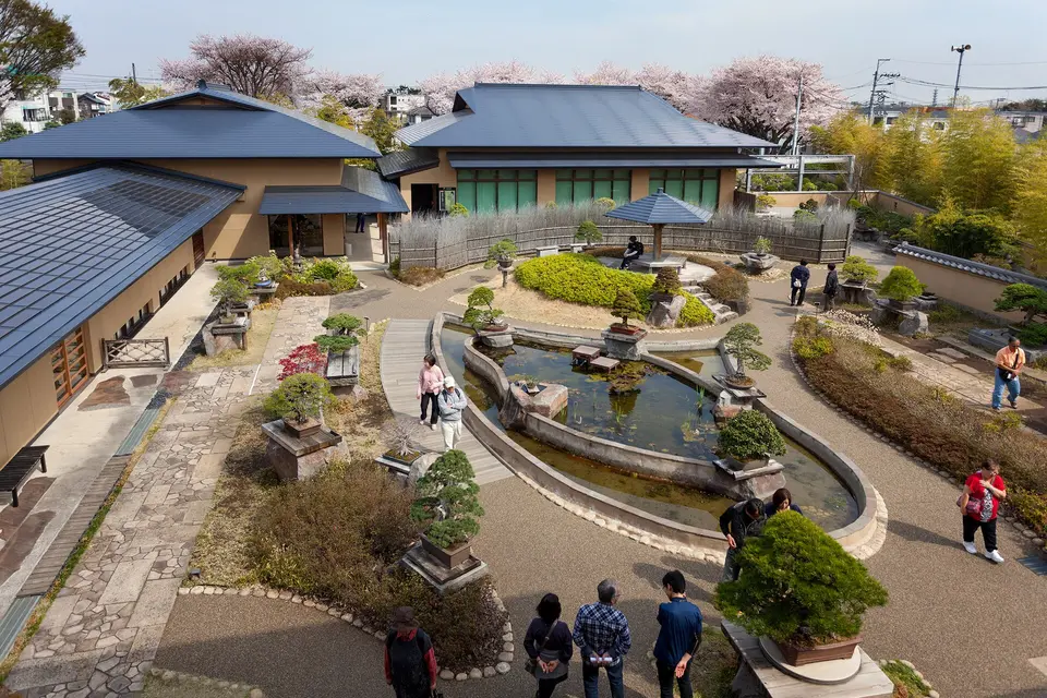 大宮盆栽村の風景